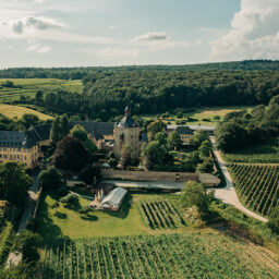 Der Jagdverein Rheingau e. V. lädt am 30.06.2024 zum traditionellen Sommerfest 